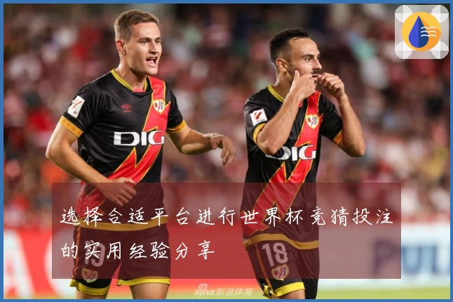 选择合适平台进行世界杯竞猜投注的实用经验分享