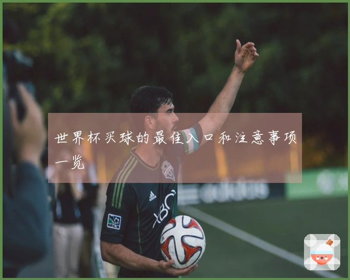 世界杯买球的最佳入口和注意事项一览